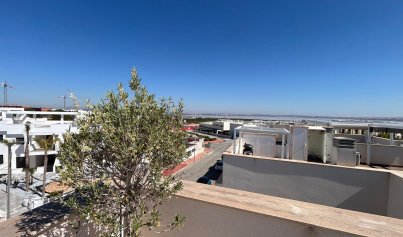 Nouvelle construction - Attique -
Torrevieja