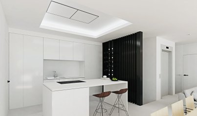 Nouvelle construction - Attique -
Pueblo Mascarat