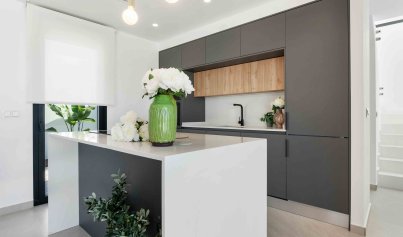 Nybyggnation - Radhus -
Rojales