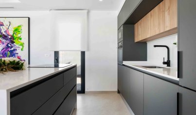 Nybyggnation - Radhus -
Rojales