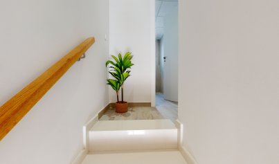 Nouvelle construction - Appartement -
Pilar de la Horadada