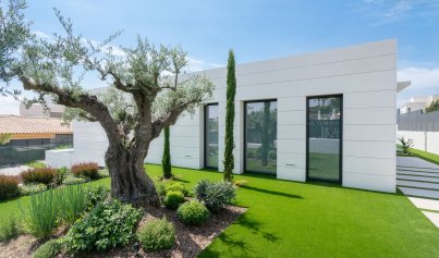 Nouvelle construction - Villa -
Molina de Segura