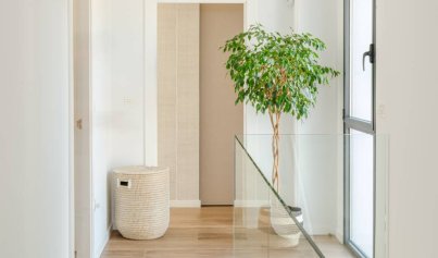 Nouvelle construction - Villa -
Molina de Segura