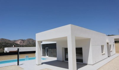 Nieuwbouw Woningen - Villa -
La Romana