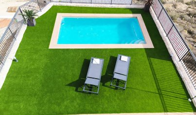 New Build - Villa -
Algorfa