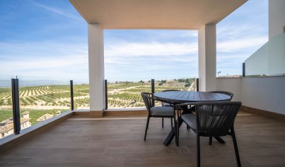 New Build - Villa -
Algorfa