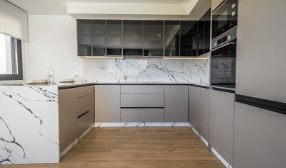 New Build - Villa -
Algorfa