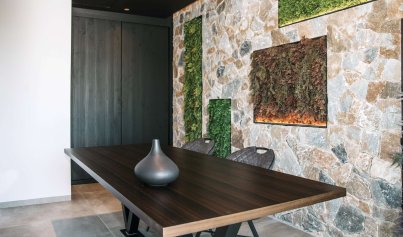 New Build - Villa -
Rojales