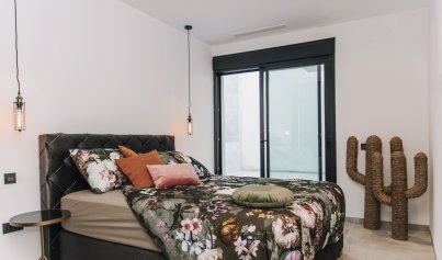 New Build - Villa -
Rojales