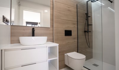 Nieuwbouw Woningen - Appartement / flat -
Pilar de la Horadada