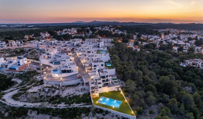 Nouvelle construction - Villa -
San Miguel de Salinas