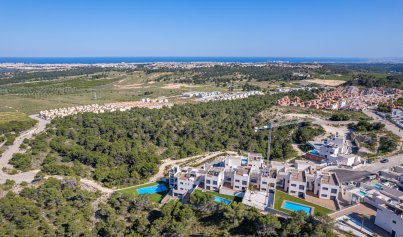 Nieuwbouw Woningen - Villa -
San Miguel de Salinas