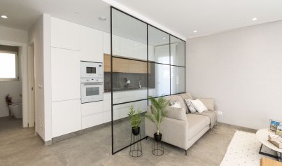 Nouvelle construction - Maison de ville -
Pilar de la Horadada