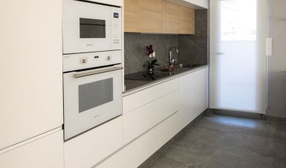 Nouvelle construction - Maison de ville -
Pilar de la Horadada