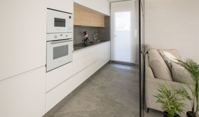 Nouvelle construction - Maison de ville -
Pilar de la Horadada