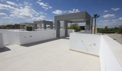 Nouvelle construction - Appartement -
San Fulgencio