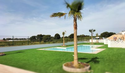 New Build - Villa -
Pilar de la Horadada - Lo Romero Golf