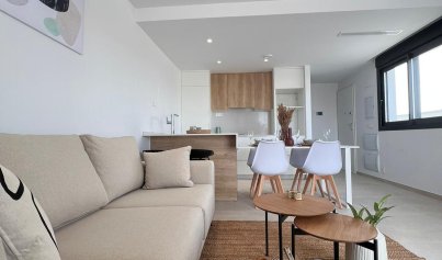 Neue Gebäude - Stadthaus -
San Javier