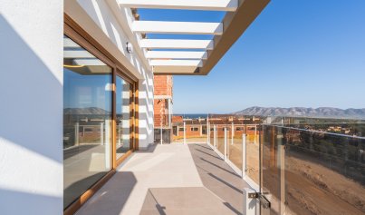 New Build - Villa -
La Nucía