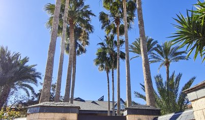 Nybyggnation - Villa -
San Pedro del Pinatar