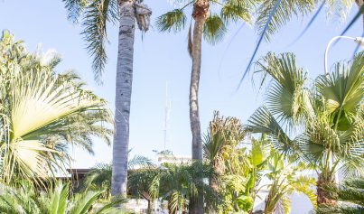 Nybyggnation - Villa -
San Pedro del Pinatar