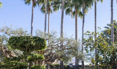 Nybyggnation - Villa -
San Pedro del Pinatar