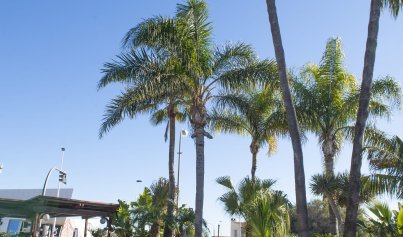 Nybyggnation - Villa -
San Pedro del Pinatar