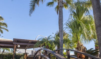 Nybyggnation - Villa -
San Pedro del Pinatar