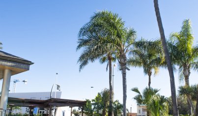 Nybyggnation - Villa -
San Pedro del Pinatar