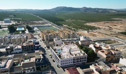New Build - Apartment -
Algorfa