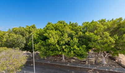 Nybyggnation - Villa -
Mil Palmeras