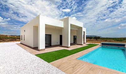 Neue Gebäude - Villa -
Pinoso