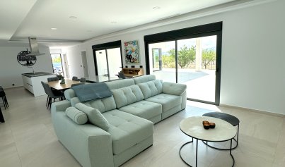 Neue Gebäude - Villa -
Pinoso