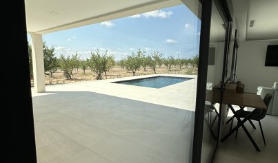 Neue Gebäude - Villa -
Pinoso