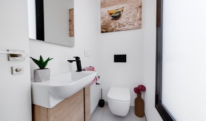 New Build - Villa -
Pilar de la Horadada