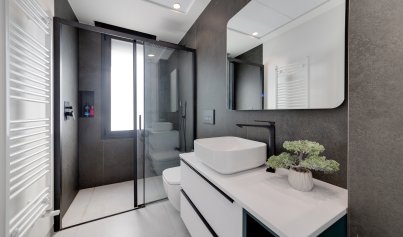 New Build - Villa -
Pilar de la Horadada