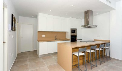 New Build - Villa -
Daya Nueva