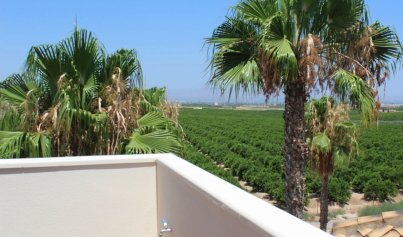 Resale - Villa -
Algorfa - La Finca Golf