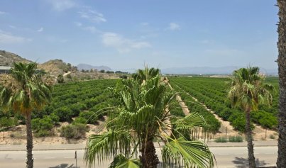 Resale - Villa -
Algorfa - La Finca Golf
