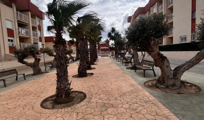 Neue Gebäude - Penthouse -
Orihuela Costa