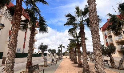 Neue Gebäude - Penthouse -
Orihuela Costa