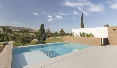 Neue Gebäude - Villa -
Algorfa