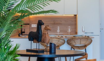 New Build - Penthouse -
Benijofar