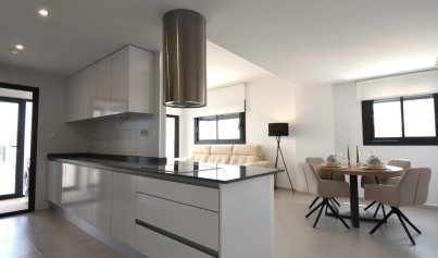 New Build - Penthouse -
San Miguel de Salinas